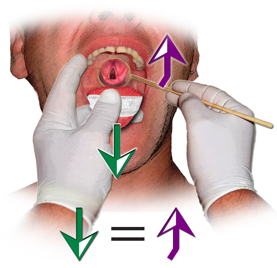 Fig 1